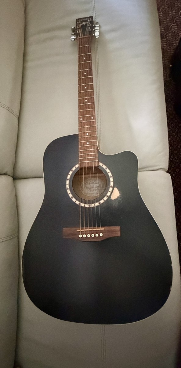 Guitare Art et Lutherie CW Cedar Black Q1